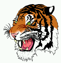 Tiger image